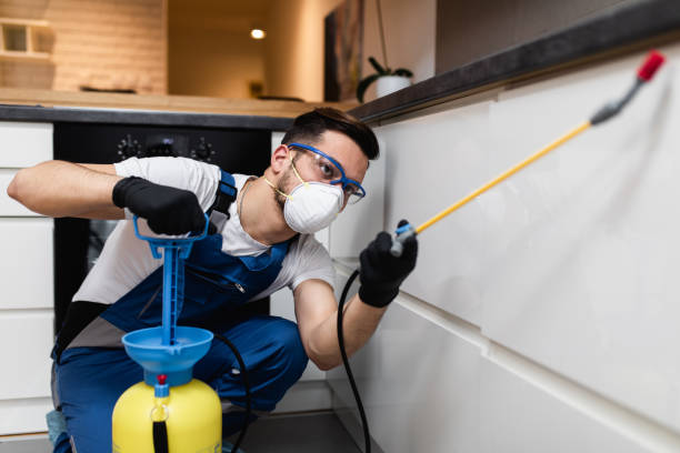 Best Best Pest Control Companies  in Lake Dunlap, TX