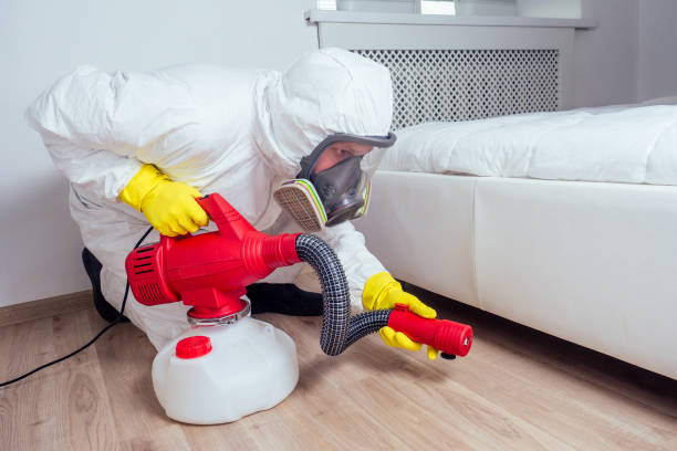 Best Bed Bug Extermination  in Lake Dunlap, TX