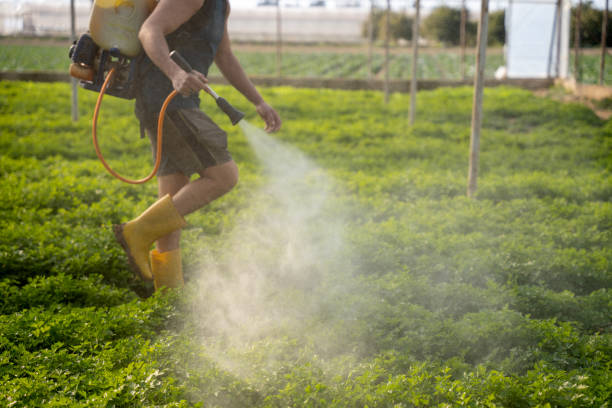 Best Pest Control Near Me  in Lake Dunlap, TX