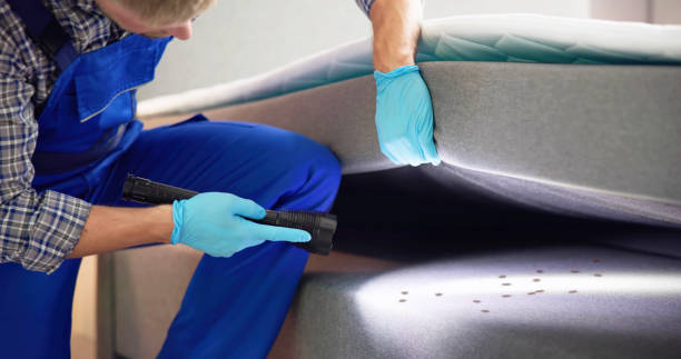 Best Pest Control Cost  in Lake Dunlap, TX