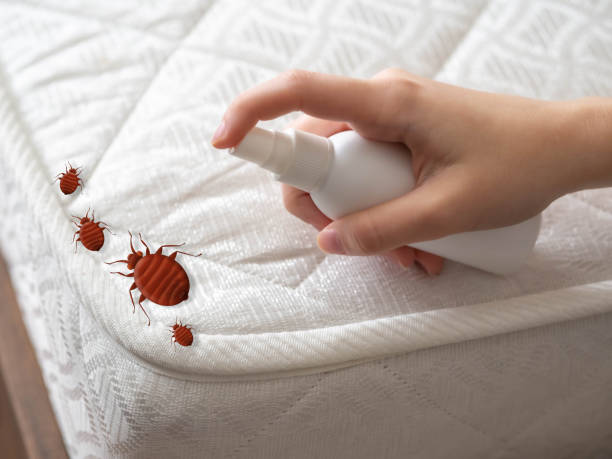 Professional Pest Control in Lake Dunlap, TX