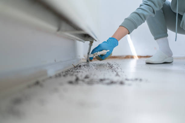 Best Cockroach Control Services  in Lake Dunlap, TX