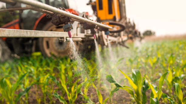 Best Pest Removal Services  in Lake Dunlap, TX