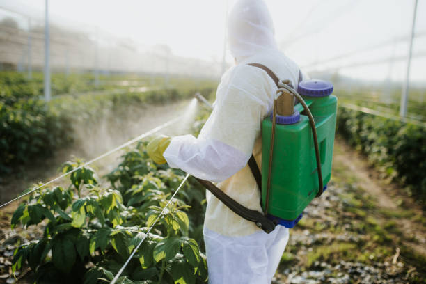 Best Mosquito Control Services  in Lake Dunlap, TX